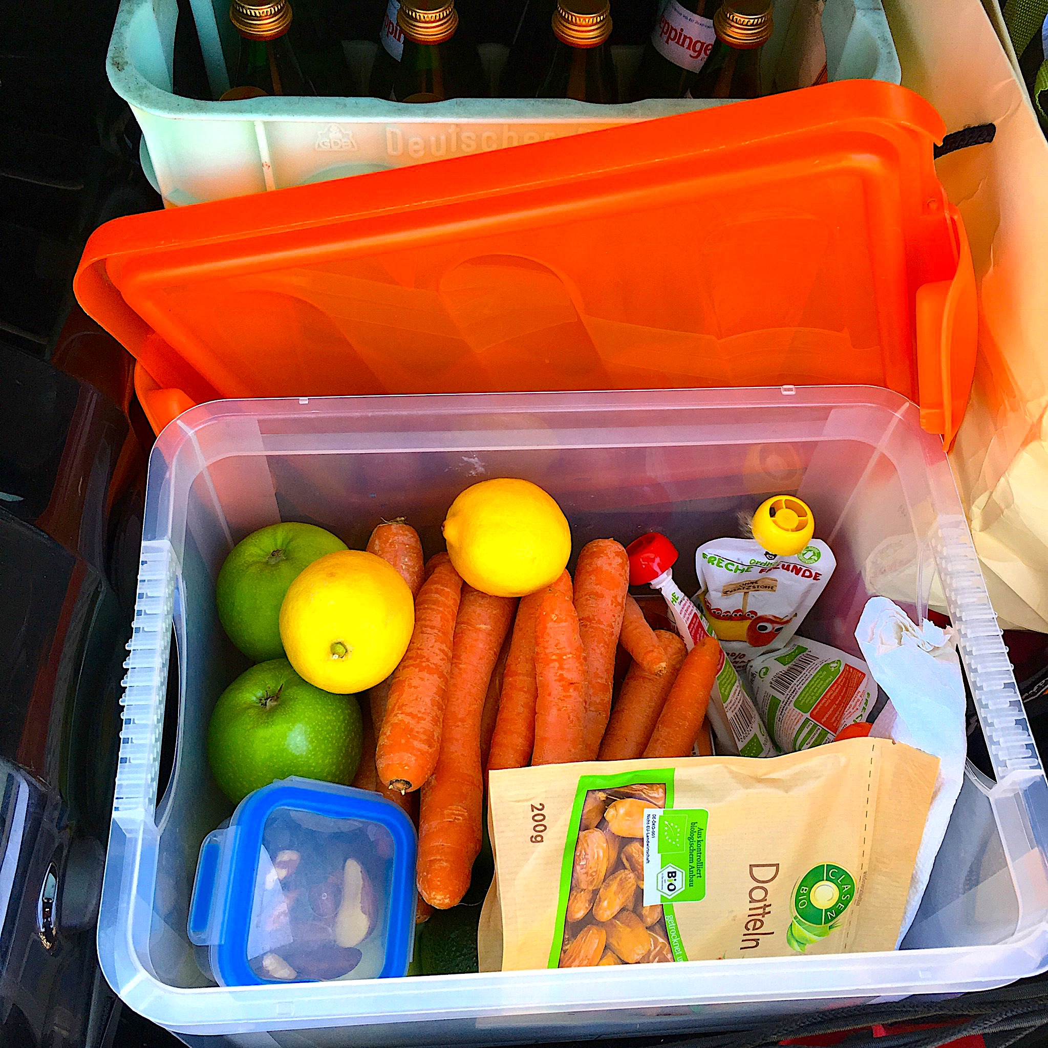 Lebensmittel-Kiste Autoimmunprotokoll (AIP) Reisen