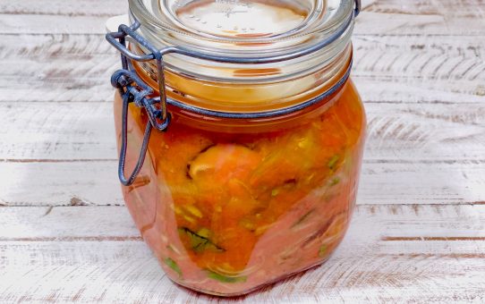 AIP Karotten Ferment