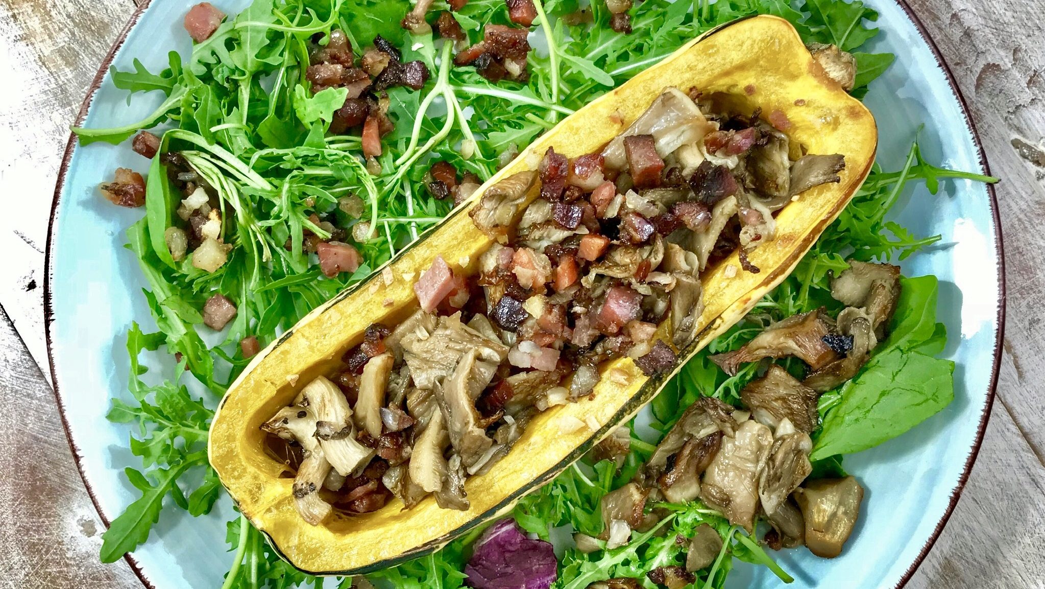 AIP Delicata Kürbis